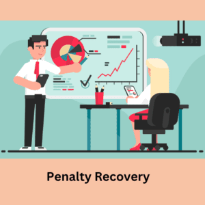 seo website Penalty Recovery Data Report