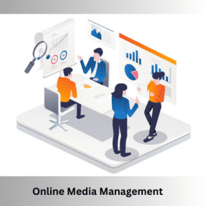 seo website online media management